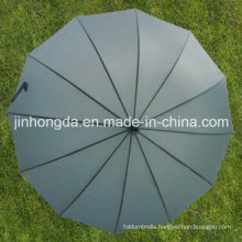 23-Inch 12-Rib Auto Open Straight Umbrella of New Style (YSS0073-1-2)